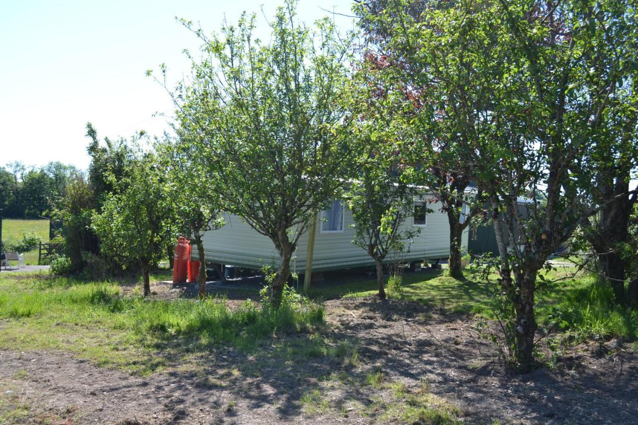 Вилла Swallows Return Clynderwen Экстерьер фото